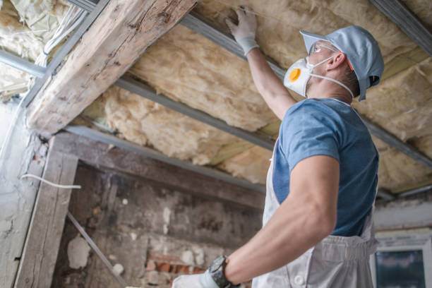 Best Attic Insulation Installation  in Seaman, OH