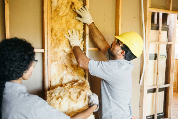 Best Insulation Replacement Services  in Seaman, OH